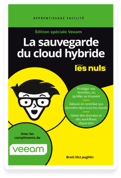 E-book Sauvegarde du cloud hybride pour les Nuls
