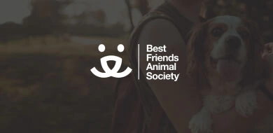 Best friends Animal Society